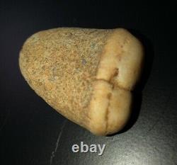 Monkey Butt Rock Rare Stone One Of A Kind Two Joining Stones