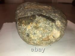 Monkey Butt Rock Rare Stone One Of A Kind Two Joining Stones