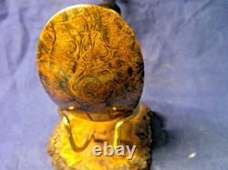 New Hs Studio Freehand Briar Pipe, Maple Stand, Gift Box, One Of A Kind -b