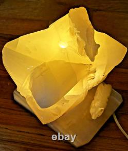 ONE OF A KIND! Carved Onyx Polar Bears & Iceberg Vintage Lamp HEAVY! Ja