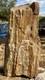 One-of-a-kind Huge 53# Petrified Wood Logthick Layer Of Chalcedonydruzyrare