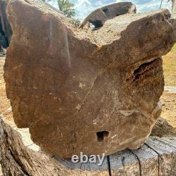 ONE-OF-A-KIND Huge 53# Petrified Wood LogThick Layer Of ChalcedonyDruzyRARE