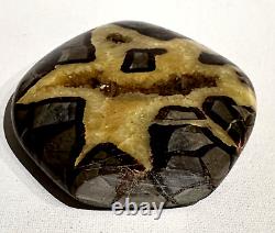 ONE OF A KIND Natural Septarian Dragon Quartz Crystal Stone with Happy Face#34