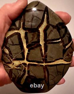 ONE OF A KIND Natural Septarian Dragon Quartz Crystal Stone with Happy Face#34