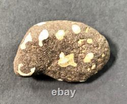 ONE OF A KIND! Very unique rock with naturally occurring letters and numbers