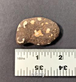 ONE OF A KIND! Very unique rock with naturally occurring letters and numbers