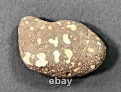 ONE OF A KIND! Very unique rock with naturally occurring letters and numbers
