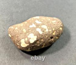 ONE OF A KIND! Very unique rock with naturally occurring letters and numbers