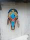 On Sale? Cow Skull One Of Kind Signed By Artist Thunderbird Free Shipping