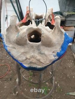 On Sale? Cow Skull one of kind signed by Artist Thunderbird Free Shipping