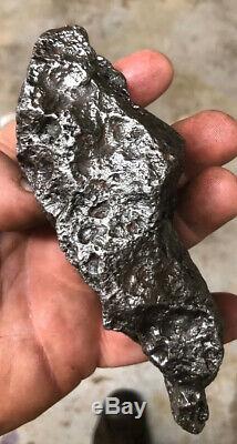 One Of A Kind Campo Del Cielo Meteorite Museum Collection Meteorite W' Hole