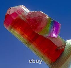One Of A Kind Multi Color Tourmaline Crystal Natural Raw Specimen Matrix