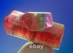 One Of A Kind Multi Color Tourmaline Crystal Natural Raw Specimen Matrix