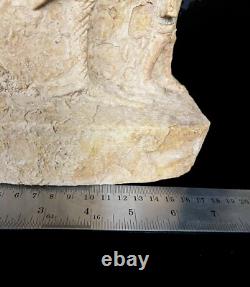 One Of A Kind Piece of The Egyptian Horus god of the sky to protect you