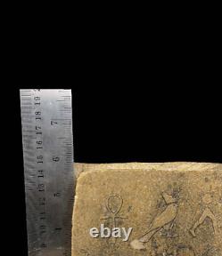 One Of A Kind piece of the Ancient Egyptian Book with the Egyptian hieroglyphs