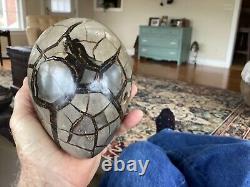 One Of A kind Spiderman Like Stone, Septarian Stone, 6 Pounds 3 Oz