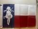 One Of A Kind Signed Frieren Texas Flag. 40cm X 60cm Signed 5/23/26 Very Rare