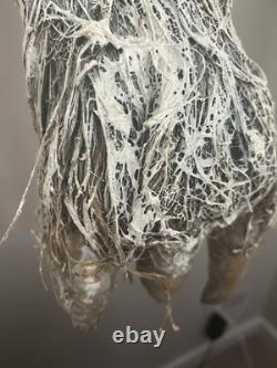 One of A Kind StarWars Tauntaun Bust 11