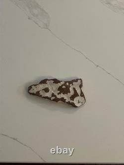 One of a Kind Cow Rock
