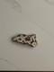 One Of A Kind Cow Rock
