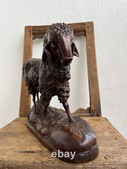 One of a kind Black Forest Ram Brienz 12 1/5