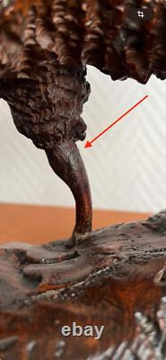 One of a kind Black Forest Ram Brienz 12 1/5