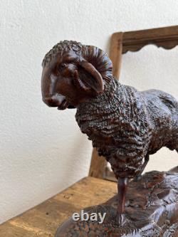 One of a kind Black Forest Ram Brienz 12 1/5