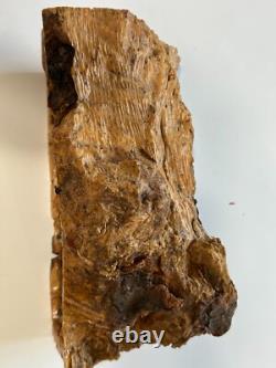 One of a kind Olive wood Nativity from Jerusalem Only one made