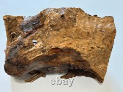 One of a kind Olive wood Nativity from Jerusalem Only one made