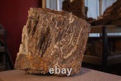 One of a kind Petrified Wood Specimen w matrix of banded Quartz Agate Opalizing