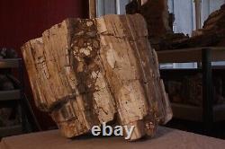 One of a kind Petrified Wood Specimen w matrix of banded Quartz Agate Opalizing