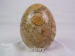 PREHISTORIC Trilobite Fossil Hand-Polished Custom Stone Egg One-of-a-Kind