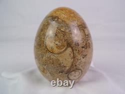 PREHISTORIC Trilobite Fossil Hand-Polished Custom Stone Egg One-of-a-Kind