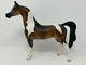 Peter Stone Stunning Test Color Arab Pinto One Of A Kind
