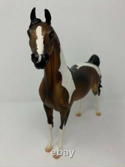 Peter Stone stunning test color Arab pinto ONE OF A KIND