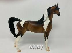 Peter Stone stunning test color Arab pinto ONE OF A KIND