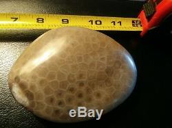 Petoskey Stone. Ultra Polish. Beautiful. 1.1 LBS. CRYSTALIZED End! One of a Kind