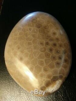 Petoskey Stone. Ultra Polish. Beautiful. 1.1 LBS. CRYSTALIZED End! One of a Kind