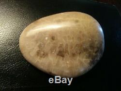 Petoskey Stone. Ultra Polish. Beautiful. 1.1 LBS. CRYSTALIZED End! One of a Kind