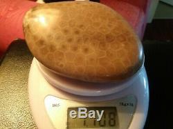 Petoskey Stone. Ultra Polish. Beautiful. 1.1 LBS. CRYSTALIZED End! One of a Kind