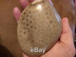 Petoskey Stone. Ultra Polish. Beautiful. 1.1 LBS. CRYSTALIZED End! One of a Kind