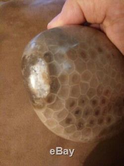 Petoskey Stone. Ultra Polish. Beautiful. 1.1 LBS. CRYSTALIZED End! One of a Kind