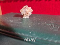 Prehistoric Decrotive Piece This Is The Only One Of Its Kind At The Moment