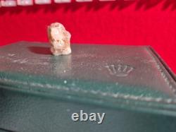 Prehistoric Decrotive Piece This Is The Only One Of Its Kind At The Moment