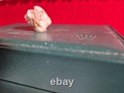 Prehistoric Decrotive Piece This Is The Only One Of Its Kind At The Moment