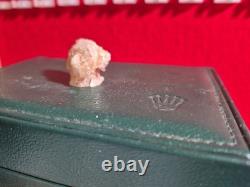 Prehistoric Decrotive Piece This Is The Only One Of Its Kind At The Moment