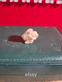 Prehistoric Decrotive Piece This Is The Only One Of Its Kind At The Moment