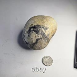 Prehistoric Large Fossilized Dragon Egg One of a Kind