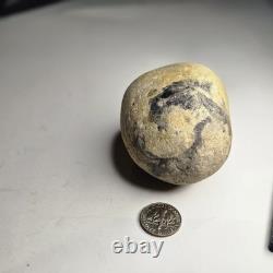 Prehistoric Large Fossilized Dragon Egg One of a Kind