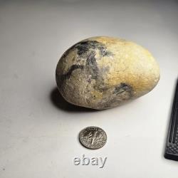 Prehistoric Large Fossilized Dragon Egg One of a Kind
